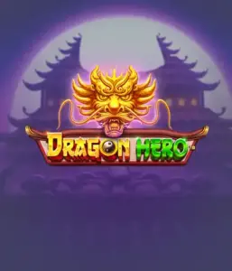 Join a mythical quest with Dragon Hero Slot by Pragmatic Play, showcasing stunning graphics of powerful dragons and epic encounters. Explore a world where fantasy meets adventure, with symbols like treasures, mystical creatures, and enchanted weapons for a captivating adventure.